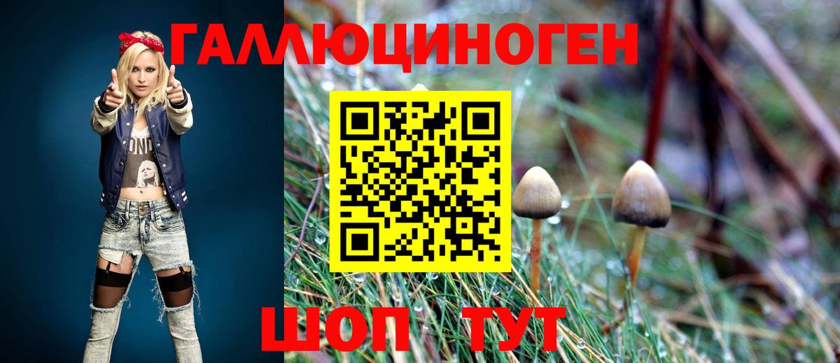 Псилоцибиновые грибы мухоморы Бирск