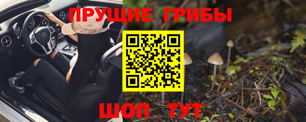 Бирск  Псилоцибиновые грибы GOLDEN TEACHER  Вход с VPN 